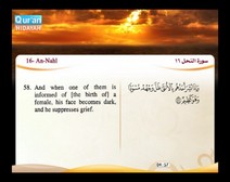 Recited Quran with Translating Its Meanings into English (Audio and video – Part 14 - Episode 5)