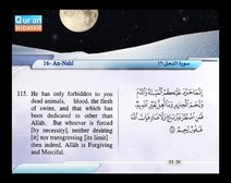 Recited Quran with Translating Its Meanings into English (Audio and video – Part 14 - Episode 8)