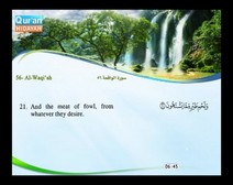 Recited Quran with Translating Its Meanings into English (Audio and video – Part 27 - Episode 6)