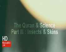 Quran & Science Part III: Insects & Skins