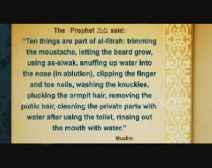 Purification And Water