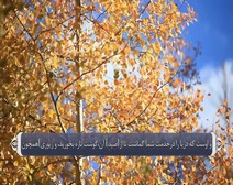 القرآن الكريم - آية آية - مع ترجمة معانيه إلى اللغة الفارسية ( 016 ) سورة النحل