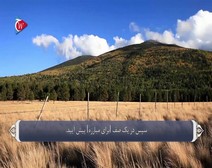 القرآن الكريم - آية آية - مع ترجمة معانيه إلى اللغة الفارسية ( 020 ) سورة طه
