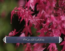 القرآن الكريم - آية آية - مع ترجمة معانيه إلى اللغة الفارسية ( 037 ) سورة الصافات