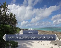 القرآن الكريم - آية آية - مع ترجمة معانيه إلى اللغة الفارسية ( 047 ) سورة محمد