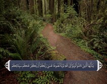 القرآن الكريم - آية آية - مع ترجمة معانيه إلى اللغة الفارسية ( 066 ) سورة التحريم