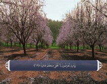 القرآن الكريم - آية آية - مع ترجمة معانيه إلى اللغة الفارسية ( 069 ) سورة الحاقة