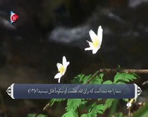 القرآن الكريم - آية آية - مع ترجمة معانيه إلى اللغة الفارسية ( 071 ) سورة نوح