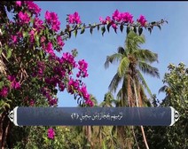 القرآن الكريم - آية آية - مع ترجمة معانيه إلى اللغة الفارسية ( 105 ) سورة الفيل