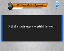 Traducerea sensurilor Surei Al-Fil în limba română, însoţită de recitarea lui Mishari