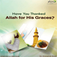 Have You Thinked Allah for His Graces?