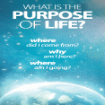 What Is the Purpose in Life?